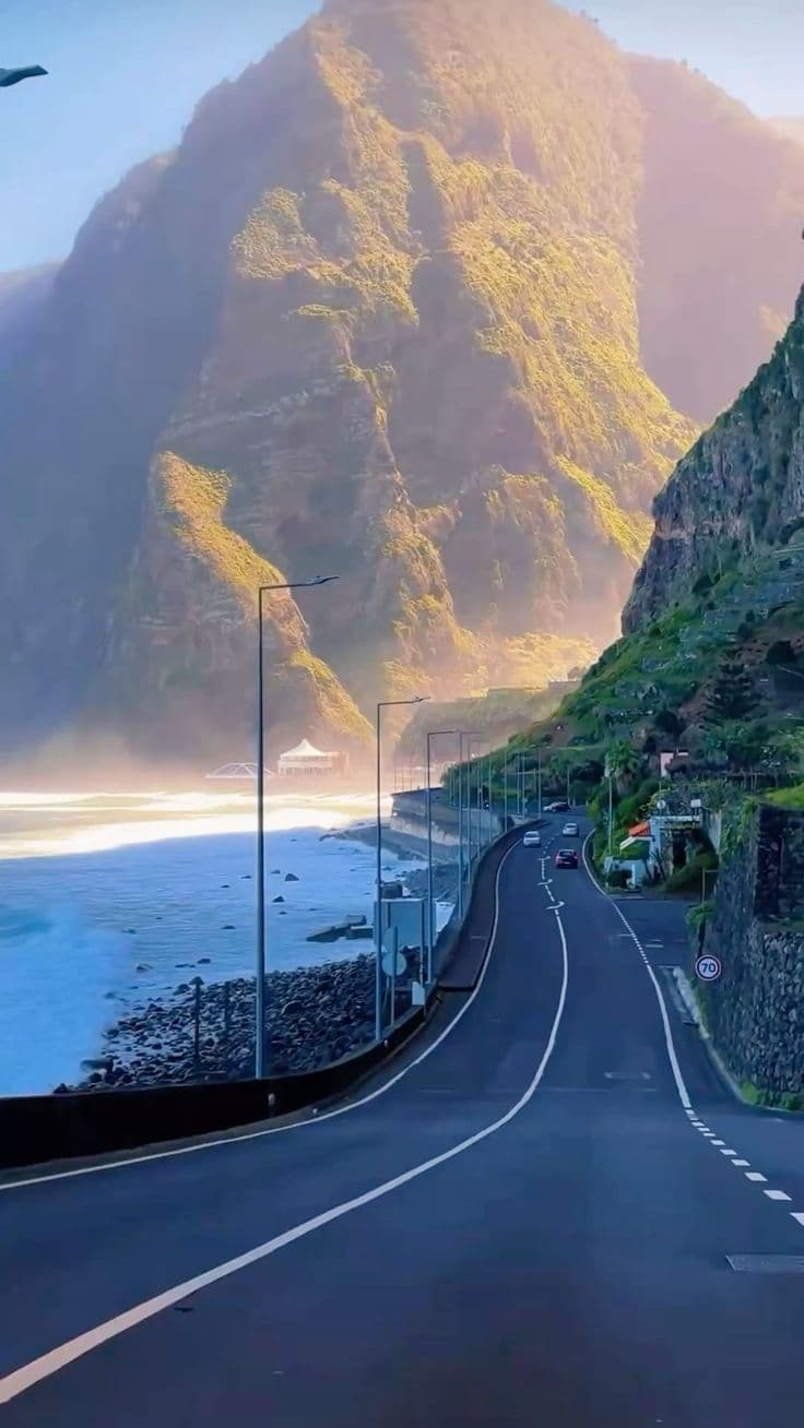 Madeira city preview